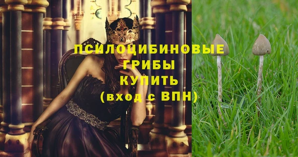 молекула духа Михайлов