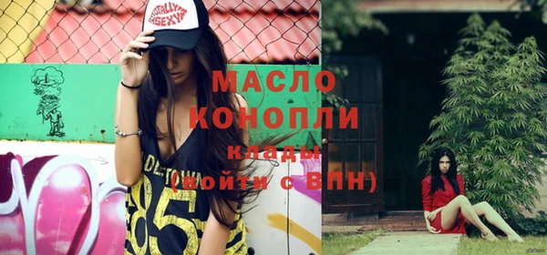 молекула духа Михайлов