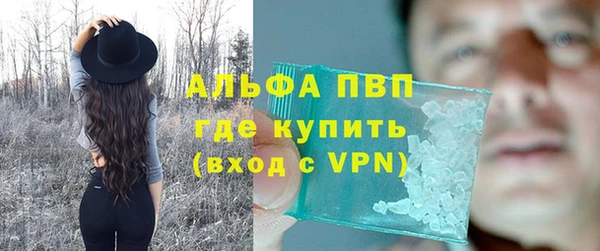 молекула духа Михайлов