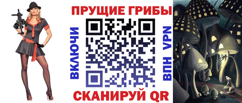 Псилоцибиновые грибы мухоморы  дарк нет как зайти  Весьегонск 