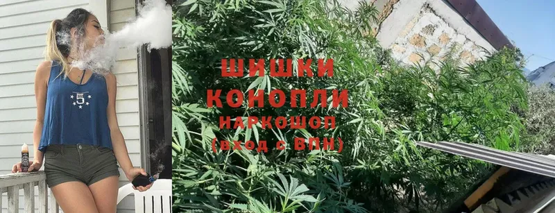 МАРИХУАНА SATIVA & INDICA  купить наркоту  Весьегонск 